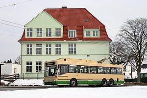 51_Widdert1_300