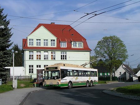 51_Widdert_450