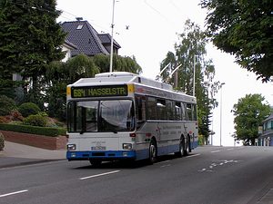 55_Wittenberg_300